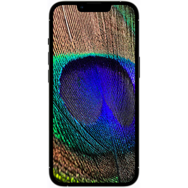 گوشی موبایل اپل مدل iPhone 13 Pro Max A2644 دو سیم کارت ظرفیت 256 گیگابایت و رم 6 گیگابایت - اکتیو